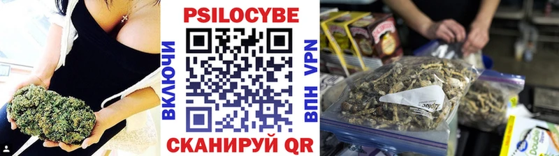 Псилоцибиновые грибы Cubensis  Верхнеуральск 